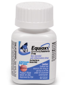 Equioxx for Horses