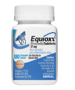 equioxx for horses