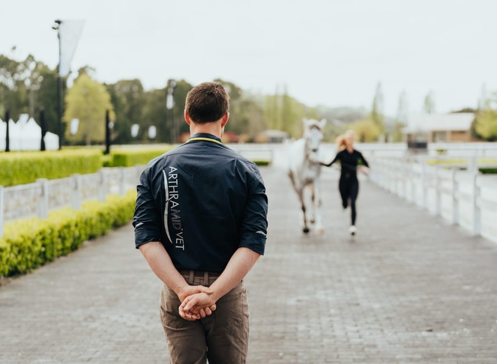 arthramid for horses