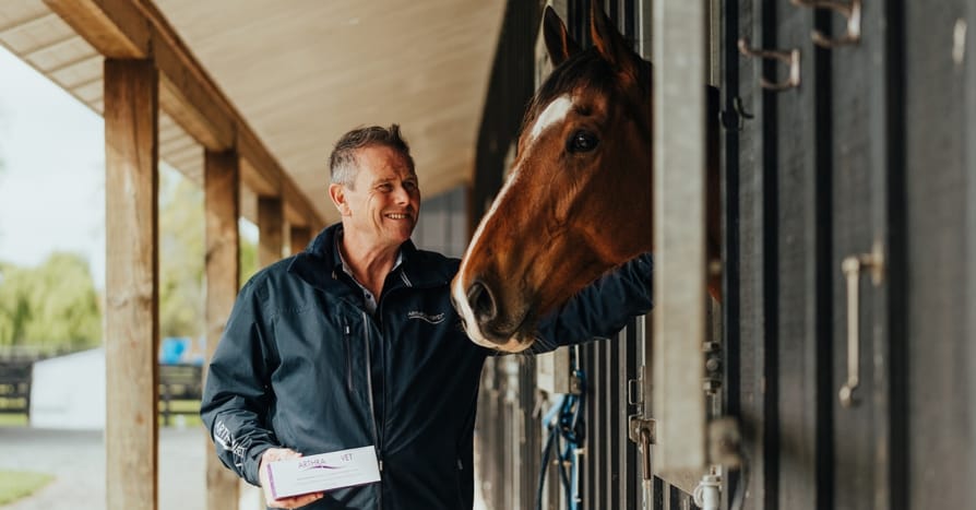 arthramid for horses