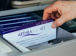 Vet administering Arthramid injection for horse joint pain relief